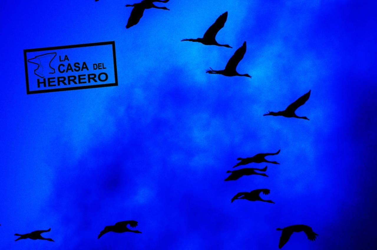 La Casa Del Herrero El Poyo 外观 照片